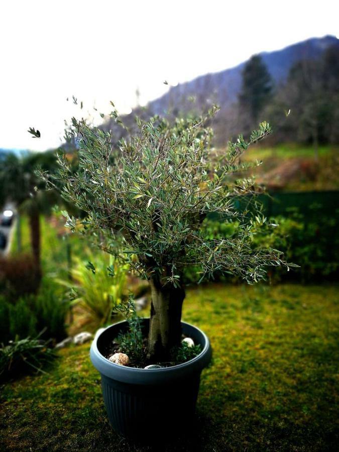 Magic Garden With Jacuzzi-Pool And Luxury Lake Como View Лено Екстериор снимка